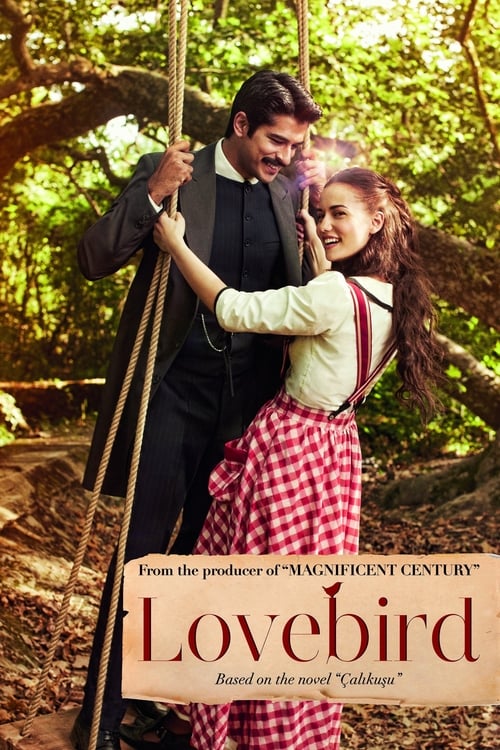 Calikusu