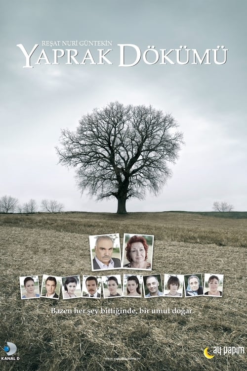 Yaprak Dokumu