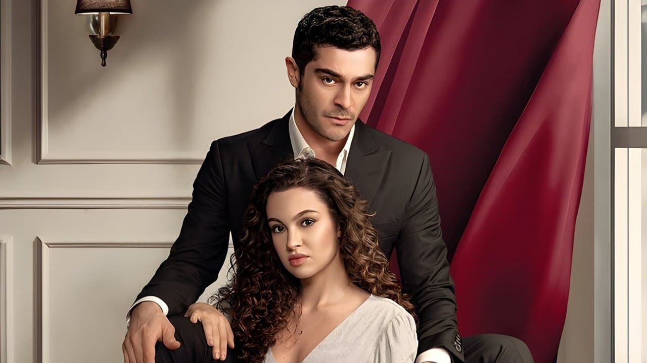 Bir Gece Masali 