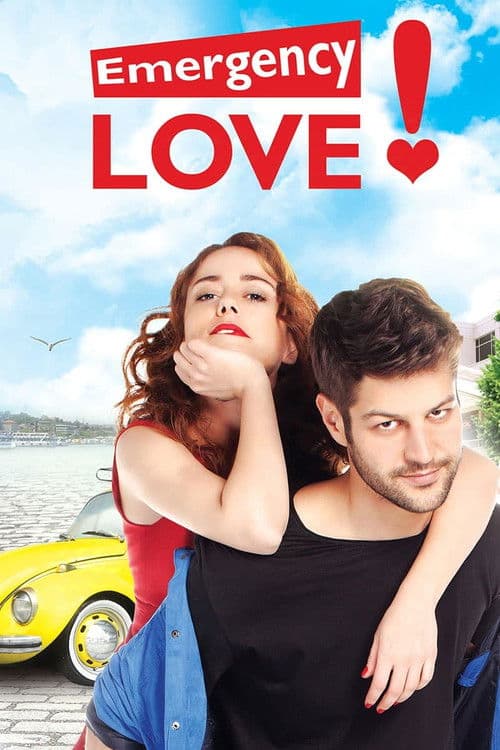 Acil Ask Araniyor